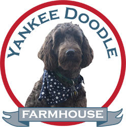 Yankee Doodle Farmhouse